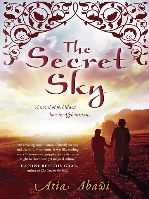 Cover image for The Secret Sky